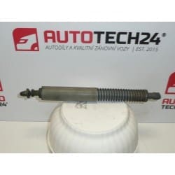 Ammortizzatore Citroën C5 Station Wagon REPAS 9640894780 8731F4