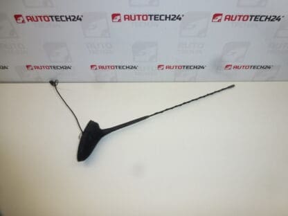 Antenna senza lavatrice Citroën C5 BERLINA 9650911080