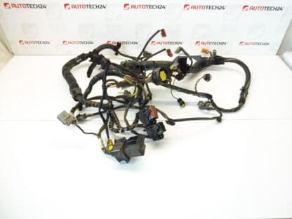 Cablaggio motore Citroën Peugeot 2.2 HDI 9648542580 6558PA