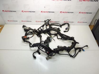 Cablaggio motore Peugeot 307 2.0 HDI 9663581780 9663581680 6569FH