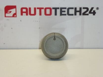 Pulsante di controllo del riscaldatore Citroën C1 Peugeot 107 6451SK