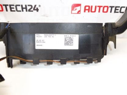 Driver del cambio Delphi Citroën Peugeot 9656126977 96561269XT 6242XJ