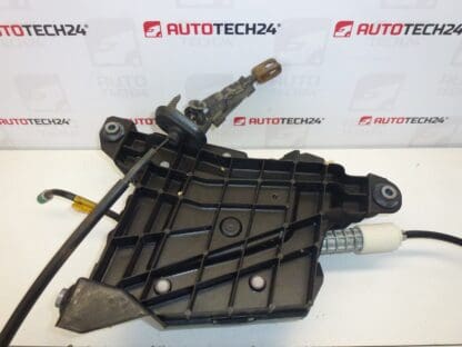 Freno a mano elettronico Citroën C4 Picasso 0204280099 9684898480 470207