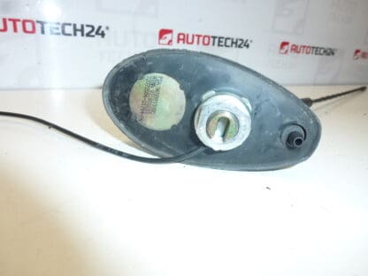 Antenna con rondella Citroën C5 9650910980 6561Y0