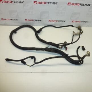 Cablaggio Citroën Peugeot 2.0HDI RHR 9657990680 5642FW 5642JC