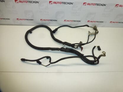 Cablaggio Citroën Peugeot 2.0HDI RHR 9657990680 5642FW 5642JC