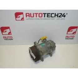 Compressore del climatizzatore Sanden SD6V12 1437 9639078280