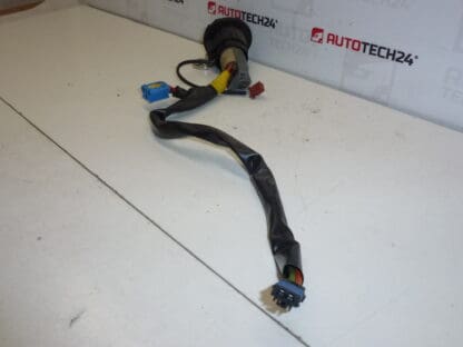 Scatola interruttori + 1 chiave Peugeot 206 4162Z1