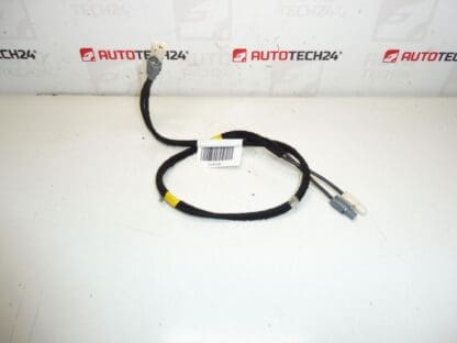 Cablaggio antenna Citroën C4 II B7 e DS4 9675654480 6587C8