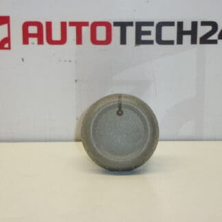 Pulsante di controllo del riscaldatore Citroën C1 Peugeot 107 6451SK