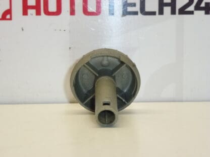 Pulsante di controllo del riscaldatore Citroën C1 Peugeot 107 6451SK