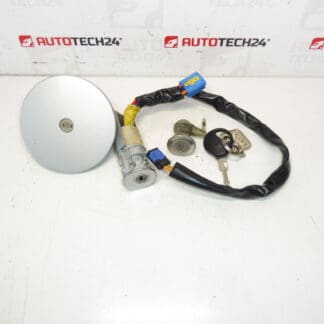 Sada di Serrature Peugeot 206 1 Chiave 4162EZ 4162NR