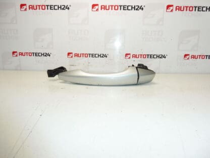 Citroën Peugeot DS EZRC 9101LW Porta della porta