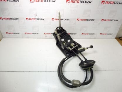 Citroën C3 DS3 Peugeot 9808161480 9837816580 Leva a turno