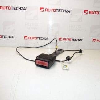 PEUGE DAVER CASSHOUT HITHOUT Peugeot 407 8975AR