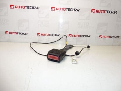 PEUGE DAVER CASSHOUT HITHOUT Peugeot 407 8975AR