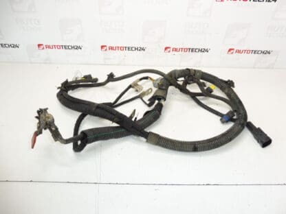 Fascio Motore Citroën Peugeot 2.0HDI RHR 9663641780 5642QZ - immagine 2