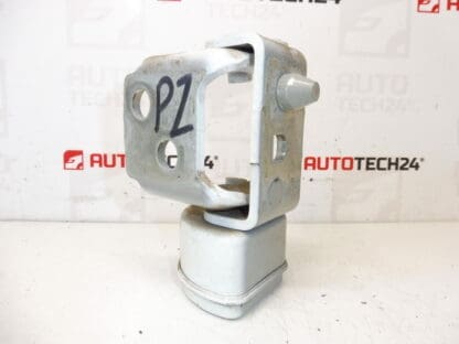 Fermare la porta posteriore destra della Peugeot EWP 207 13089480 9037C0 - immagine 2
