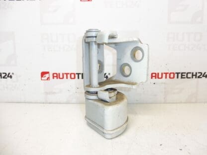Fermare la porta posteriore destra della Peugeot EWP 207 13089480 9037C0