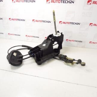 Peugeot 207 9685232980 2400jz