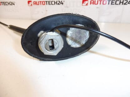 Antenna Citroën Peugeot 9658544380 6561JQ