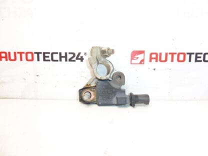 Citroën Peugeot 9666919780 unità polare negativa