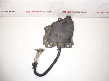 Citroën Peugeot 9675125180 66652x Modulo fusibile