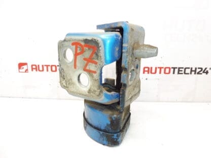 Limitatore Cerniera Porta Posteriore Destra KGWC Citroën C3 Picasso 9035CN - immagine 2