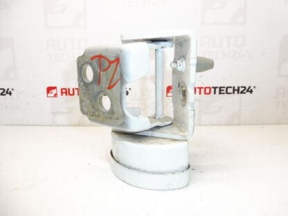 Battuta Cerniera Porta Posteriore Destra EWPB Citroen C3 Picasso 9035FN - immagine 2