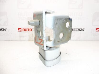 Fermo Cerniera Porta Posteriore Sinistra EWPB Citroën C3 Picasso 9035CL - immagine 2