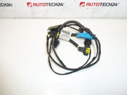 Pacchetto Citroen Peugeot 9653900780 6567LQ